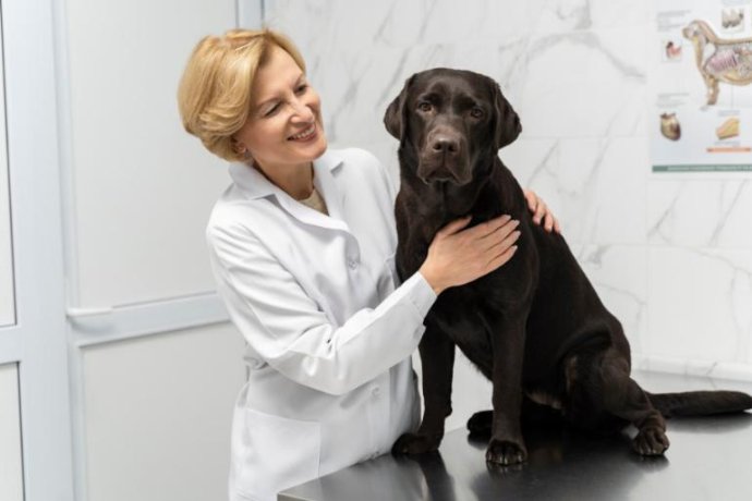 Como escolher equipamentos adequados para clínicas e hospitais veterinários