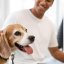 How to Improve the Patient Experience in a Veterinary Clinic