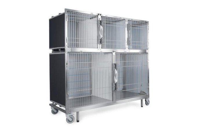 Veterinary Hospitalization Cages: Types, Materials, and How to Choose
