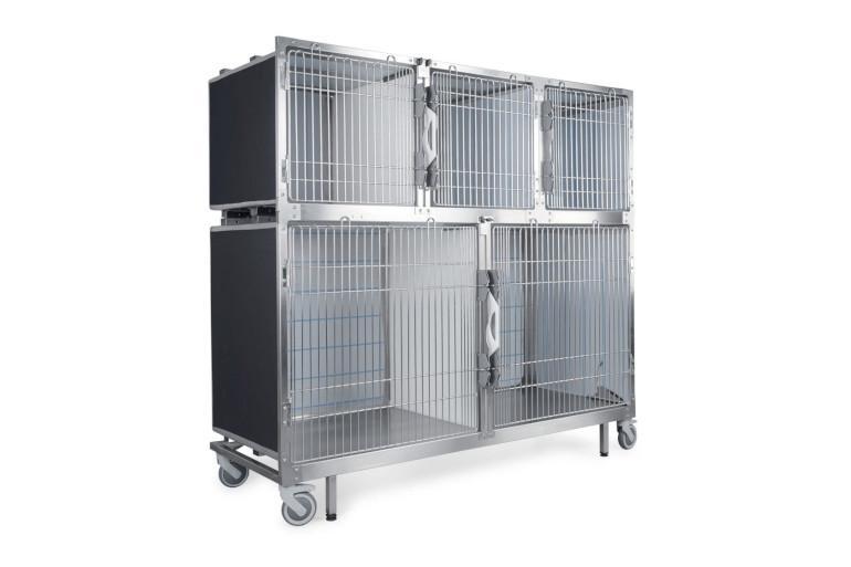Jaulas de internamento veterinário: tipos, materiais e como escolher